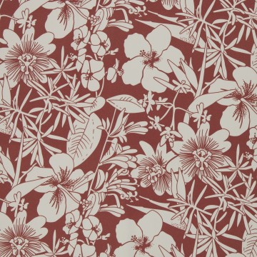 082083 419712 bloom kaselotti 40