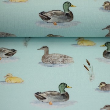 082361 173260 inthepond christianezilinski ballen