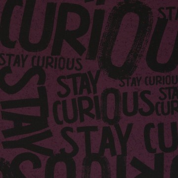 082552 200938 staycurious thorstenberger 40