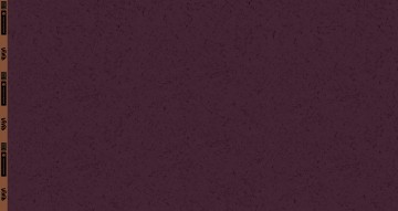 082552 300938 staycurious thorstenberger vollbreite