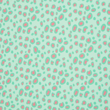 082674 226261 parrots bienvenidocolordico 40 2