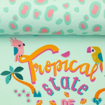 082674 226261 parrots bienvenidocolordico ballen