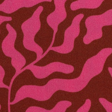 082681 933715 dancingalgae thorstenberger 10