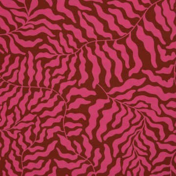 082681 933715 dancingalgae thorstenberger 40