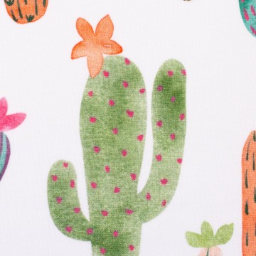 082835 763011 cactuscuties hipsomhap 10