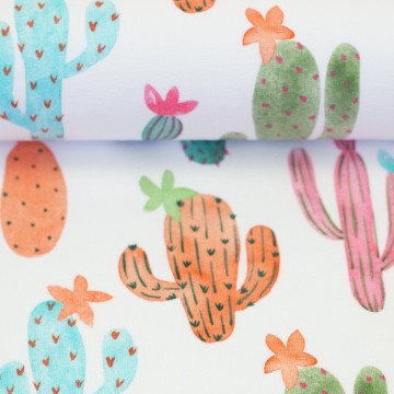 082835 763011 cactuscuties hipsomhap ballen