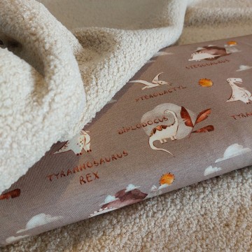 dino tricot en teddy jongens