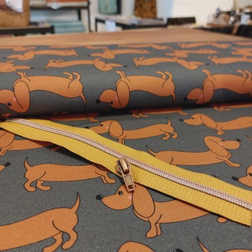 The happy canvas dog