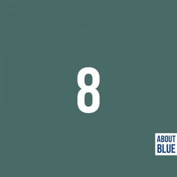 About Blue boordstof blue spruce