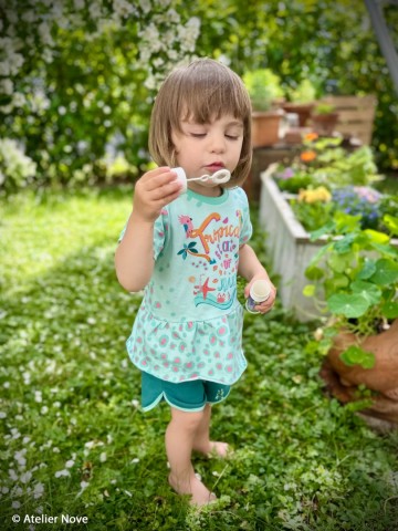 Ateliernoveparrots226261maikefs26266 1