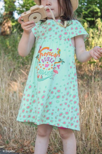 Enjamiparrots226261 3