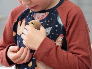 Piottokreativchicken778597vanessa mel1339heike596 3