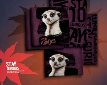 Thorstenbergerswafinghw2526staycuriouspanel100938allover200938300938qtypo